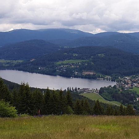 Friedolin Im Baerenhuesli Apartment Titisee-Neustadt Bagian luar foto
